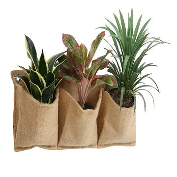 Outdoor Umweltfreundliche Jute-Wandtasche mit 3 Pflanztaschen