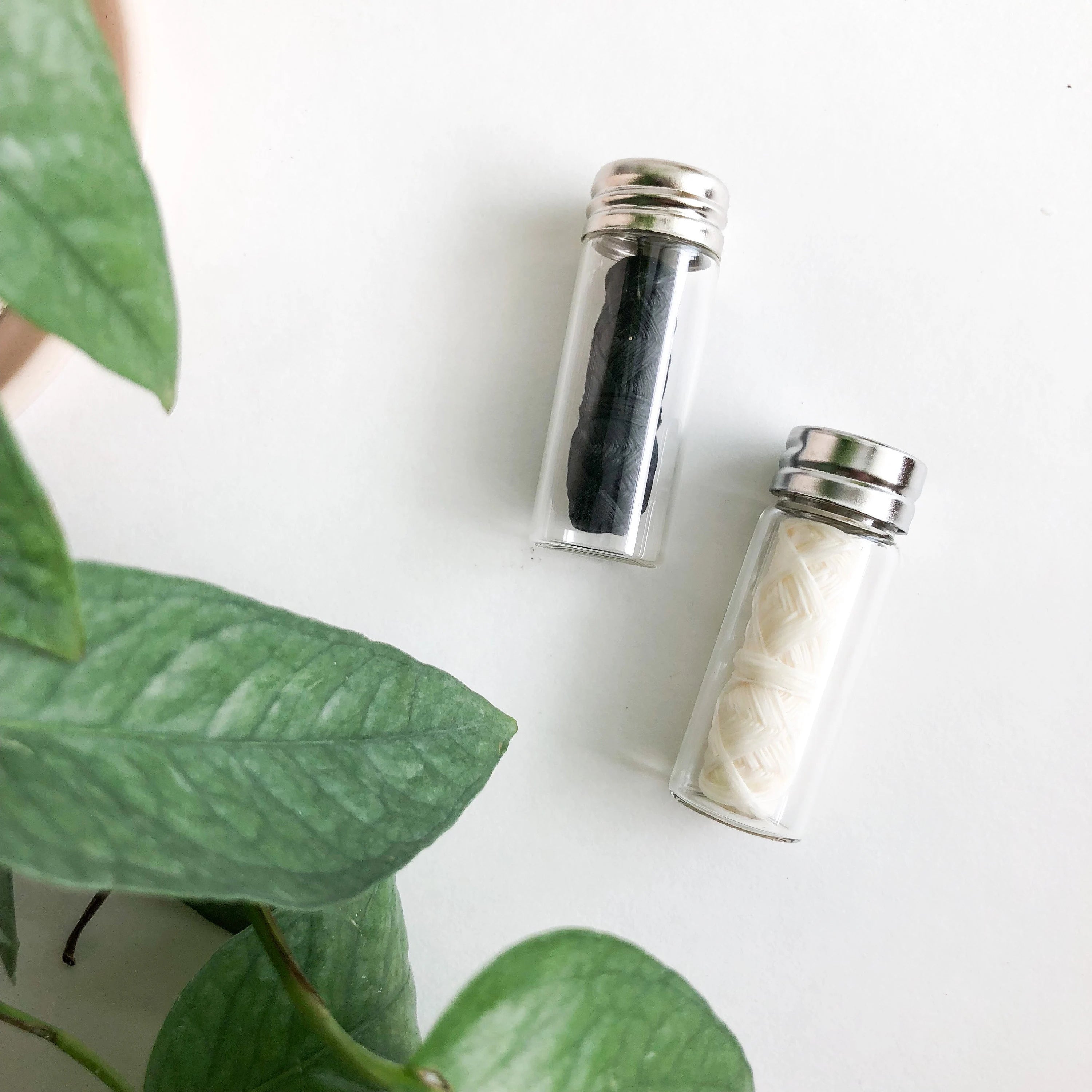 🌿 Zahnseide mal anders – plastikfrei, vegan & nachhaltig